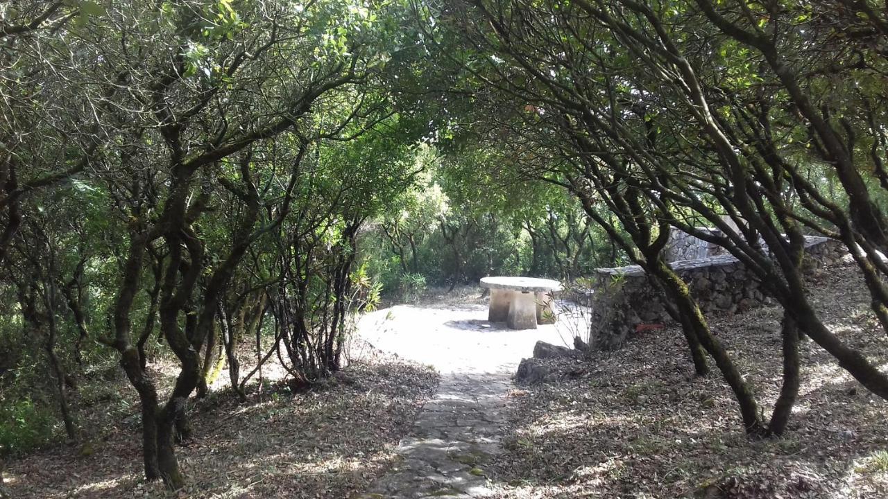 הוילה ריו מאיור Cabeco Dos Tres Moinhos מראה חיצוני תמונה